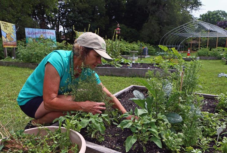 Community Garden in Pleasantville