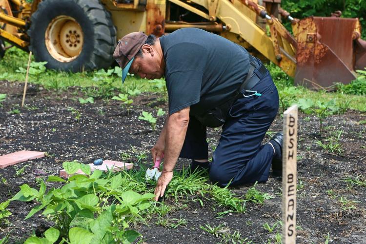 Community Garden in Pleasantville