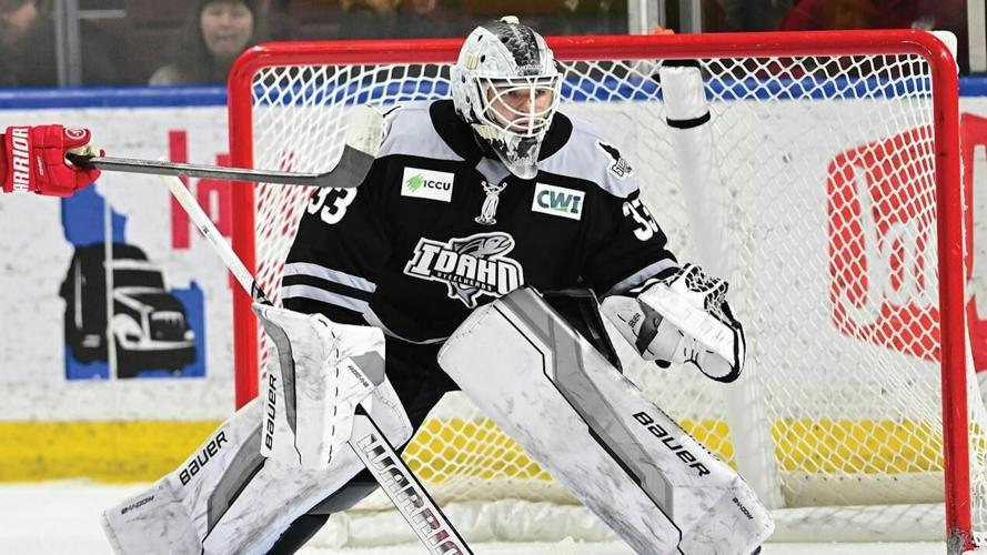 Barczewski returns to Steelheads