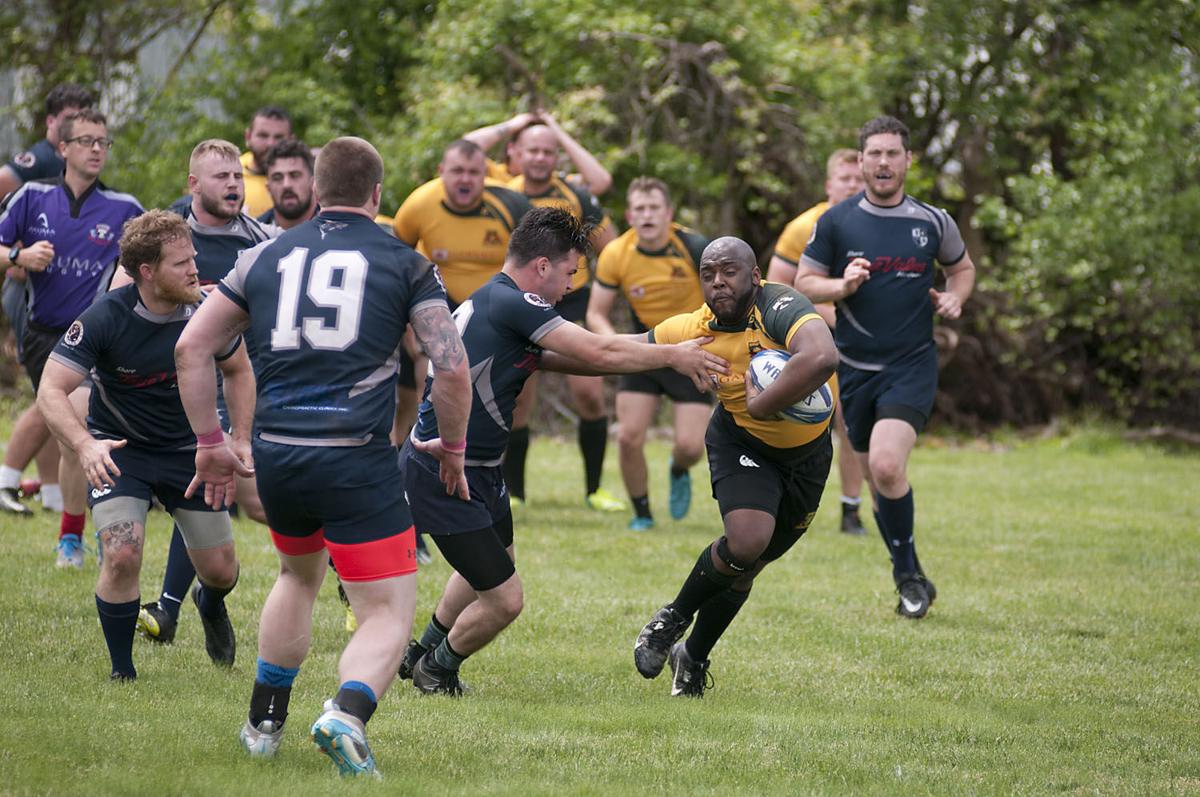 Galloway Rugby