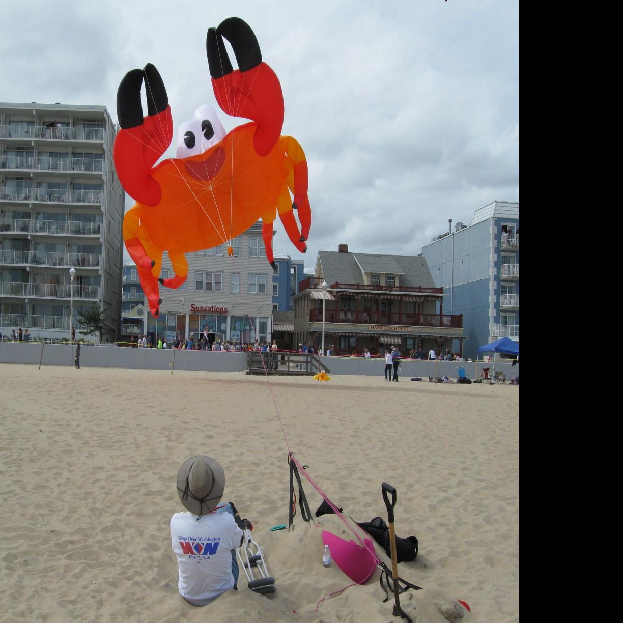 Lbi To Host First International Kite Festival Events