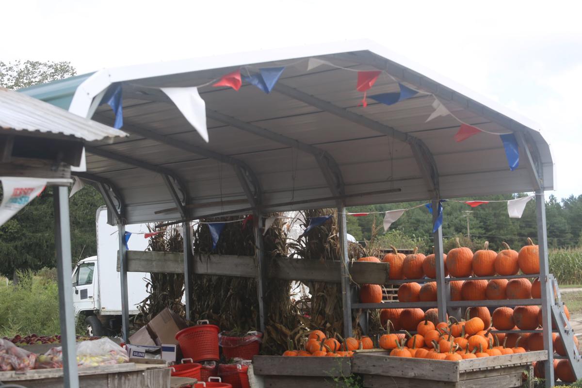 GALLERY At Butterhof's shady Brook farm