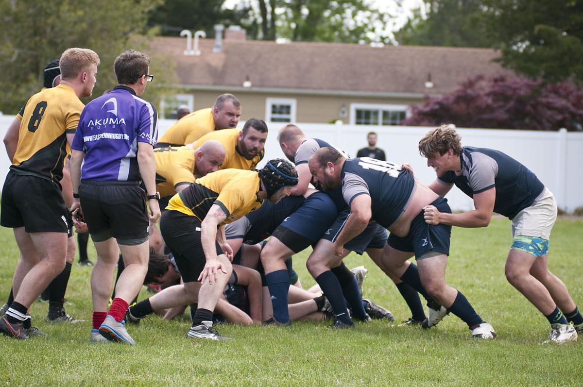 Galloway Rugby