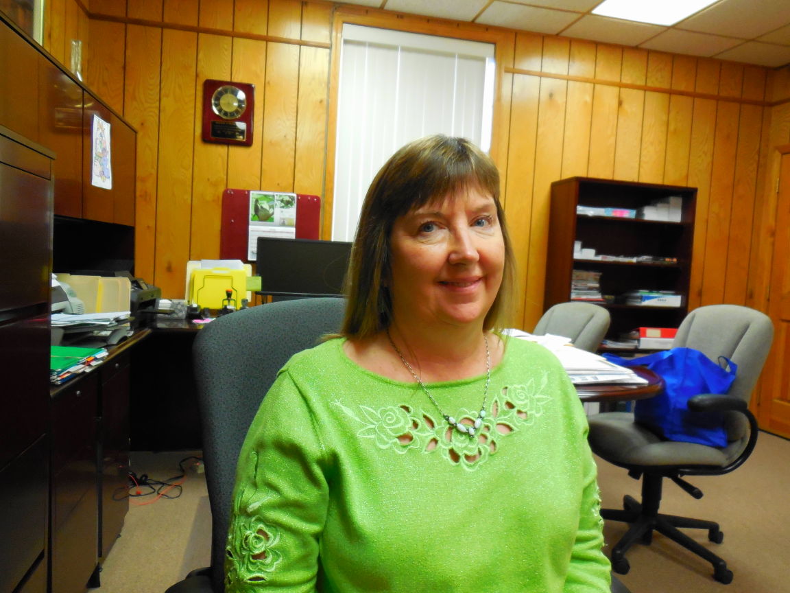 Buena Vista tax rate stays flat; Chiarello and Kelly unchallenged