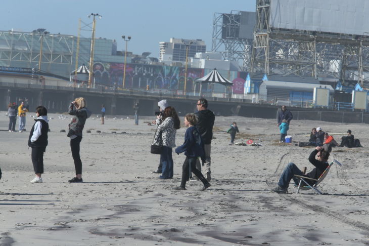 SURFING FOR CANCER