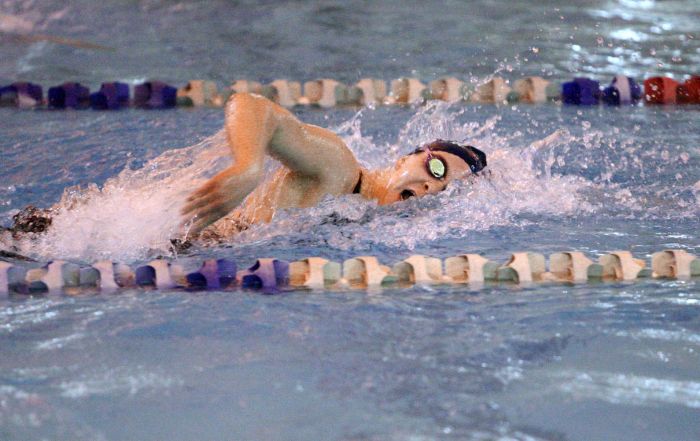 SJ Public A swimming final