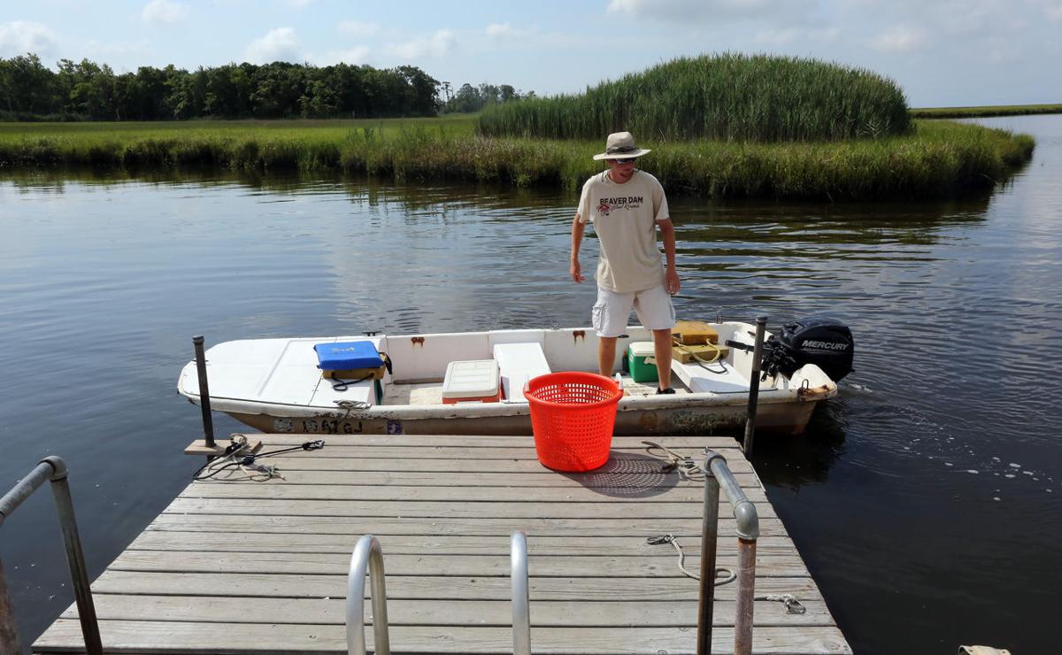 Crabbing at Beaver Dam