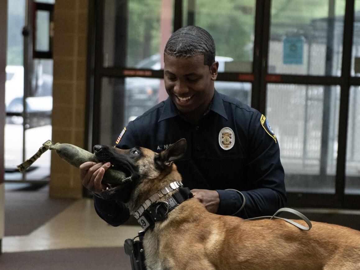 Philadelphia Eagles star Fletcher Cox donates police dog to