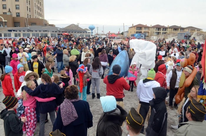 polar bear plunge