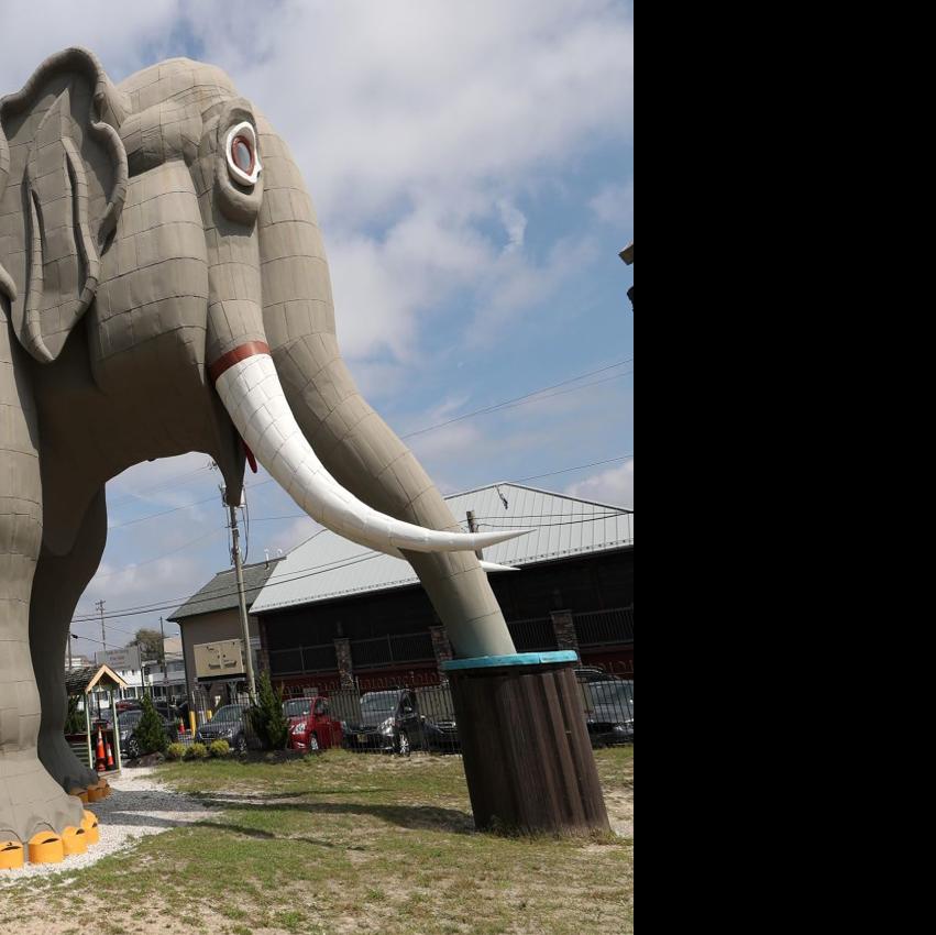 Groups Coming To Terms Over Lucy The Elephant Downbeach