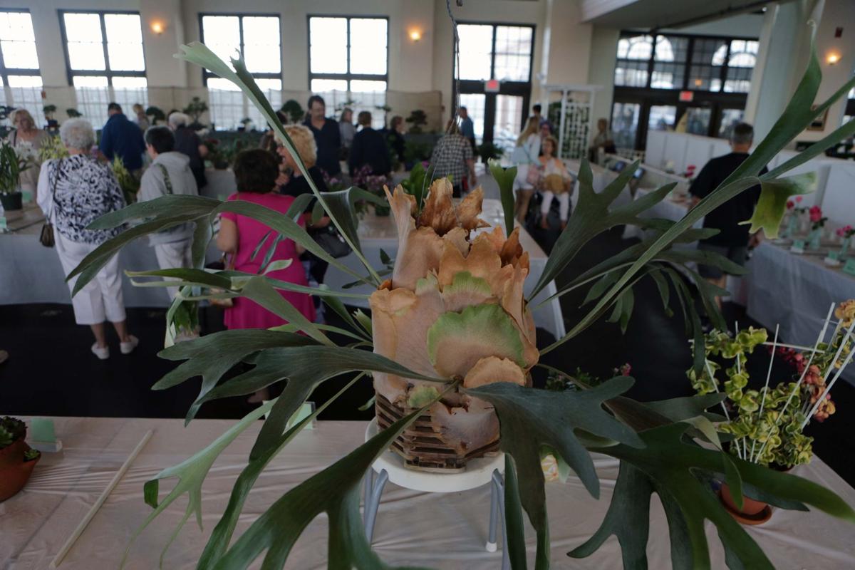 Garden Club's 45th annual flower show