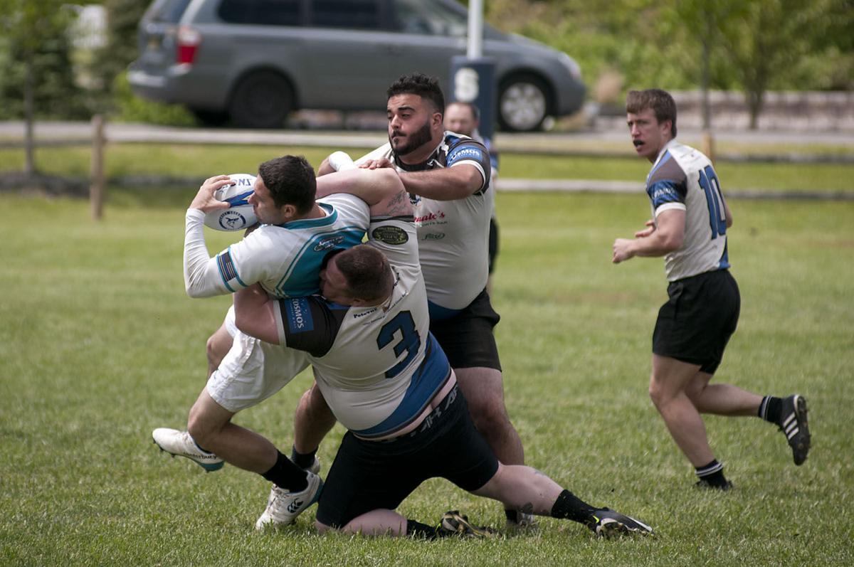 Galloway Rugby