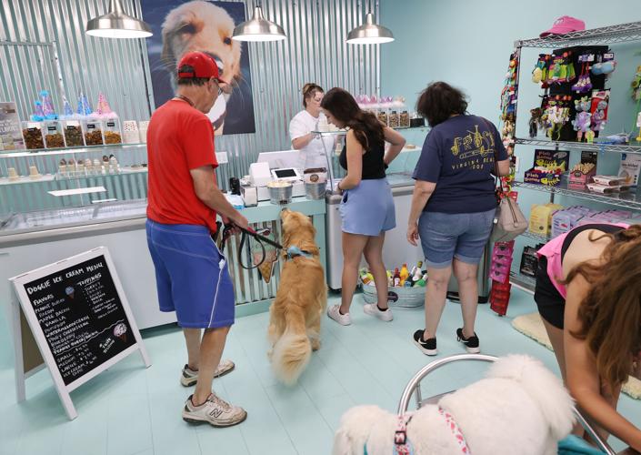 Salty Paws in Ventnor is the newest chill spot for dogs