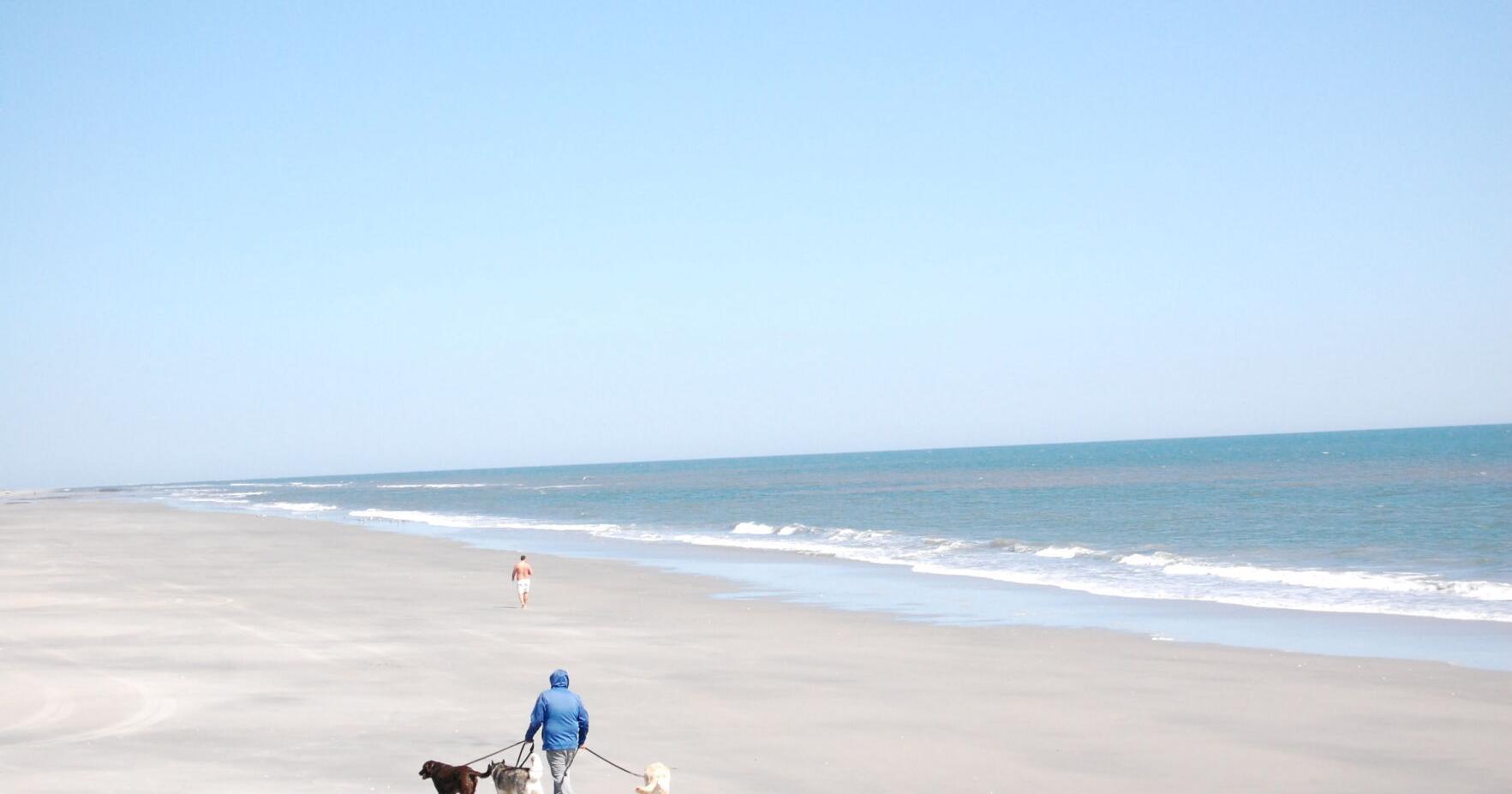Brigantine starts selling beach tags, parking permits online - Vimarsana News