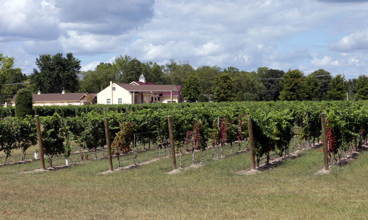 White Horse Winery Photo Galleries