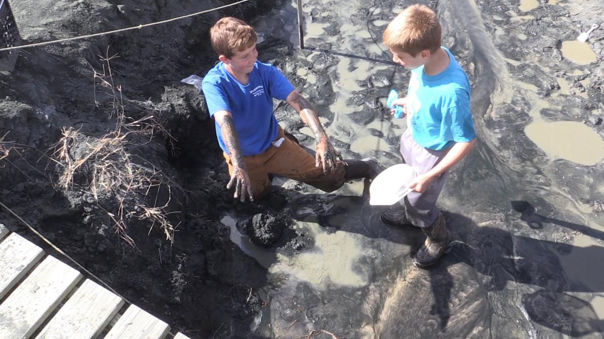 rowan dinosaur dig