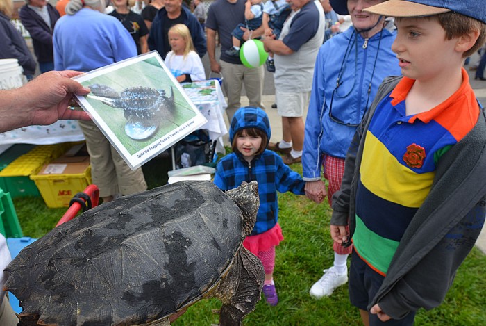 margate funfest by the bay
