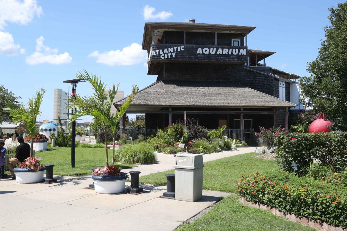 Gardner's Basin in Atlantic City News