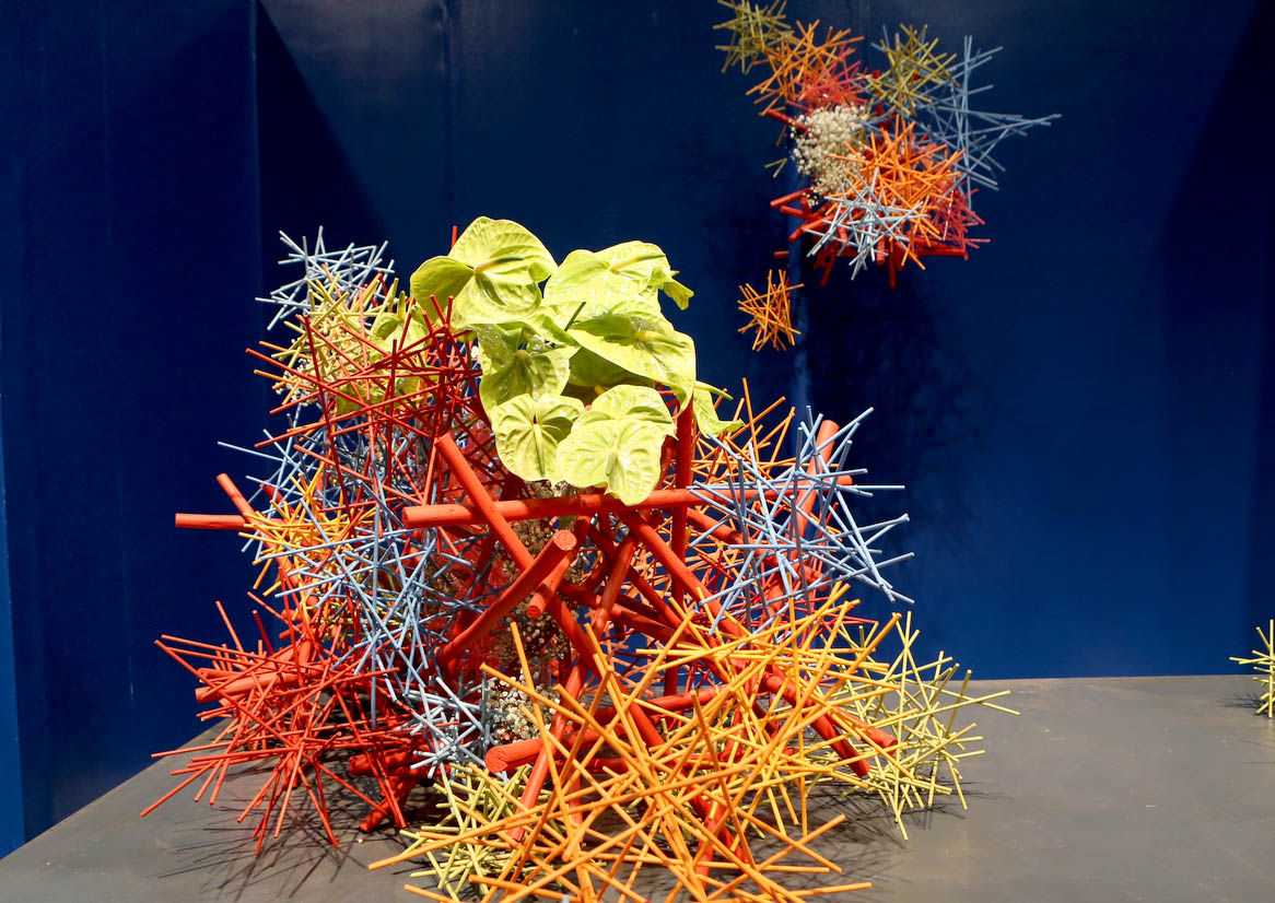 Waldor Orchids show off at Philadelphia's Flower Show Lifestyles