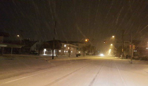 Snow Wildwood