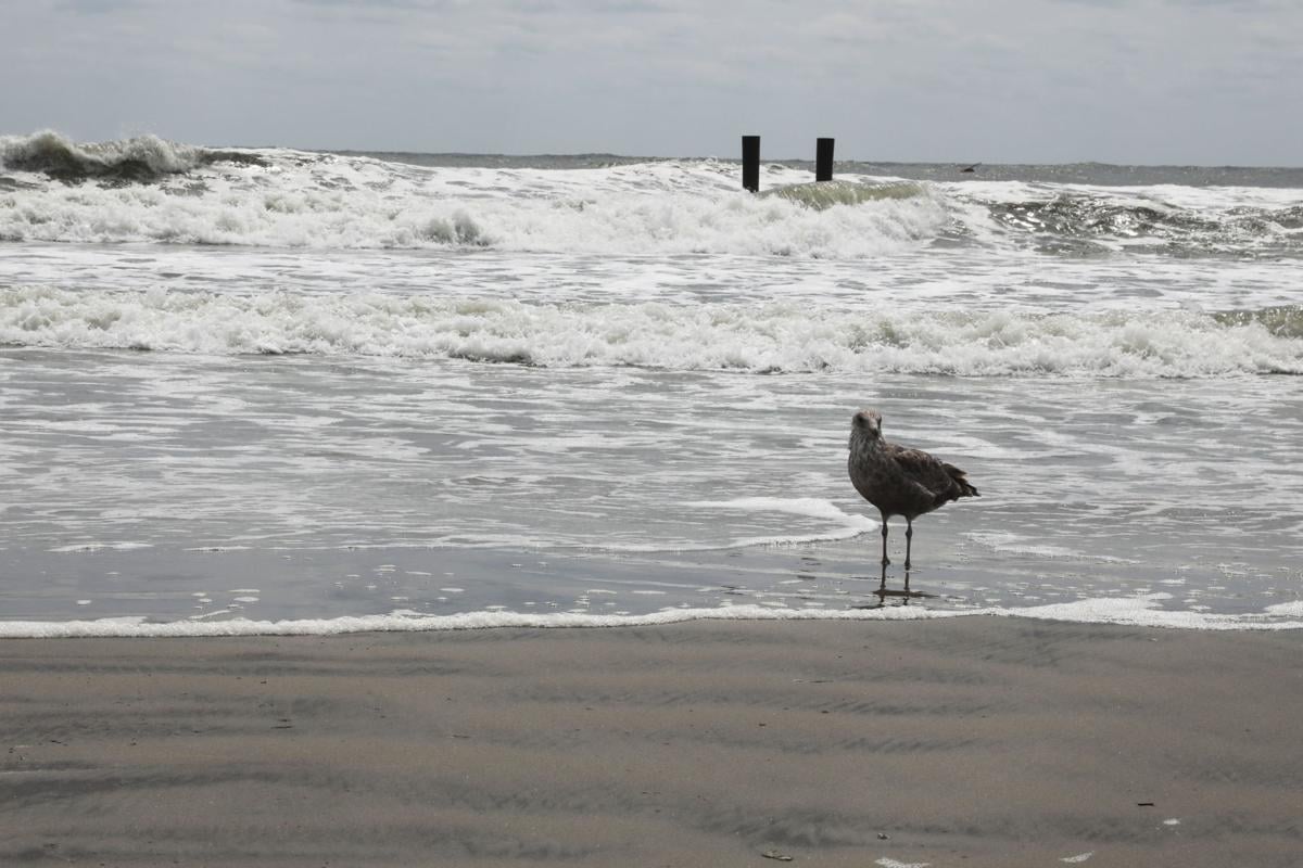 Atlantic City rip currents