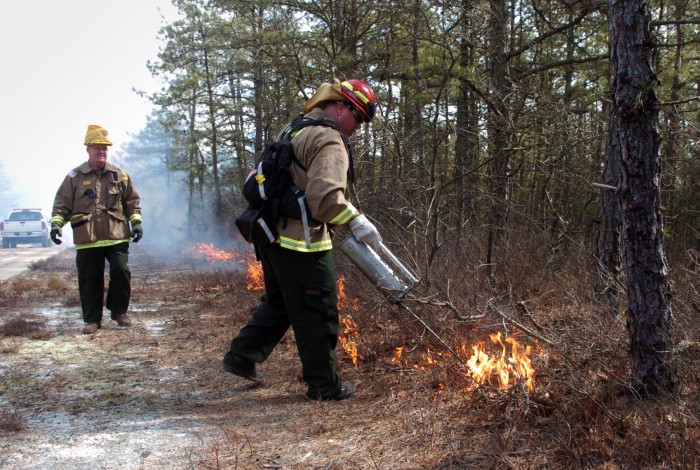 controlled burn