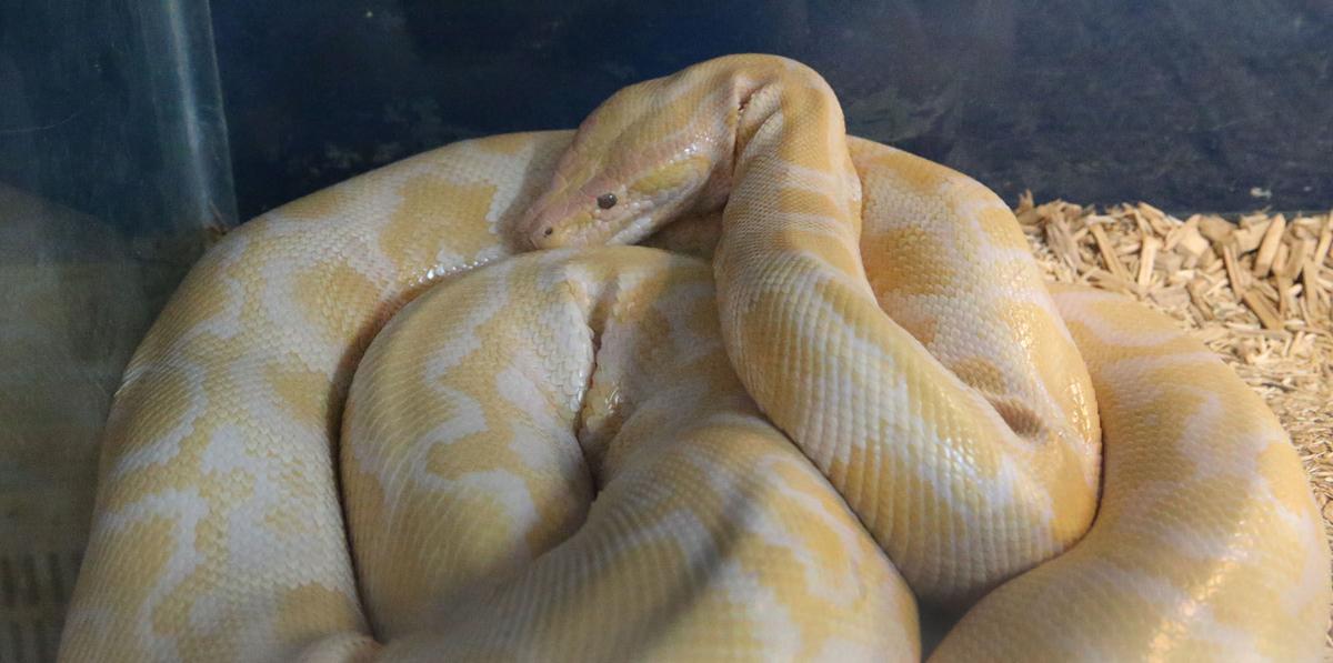 NJ Nature Animal Rescue