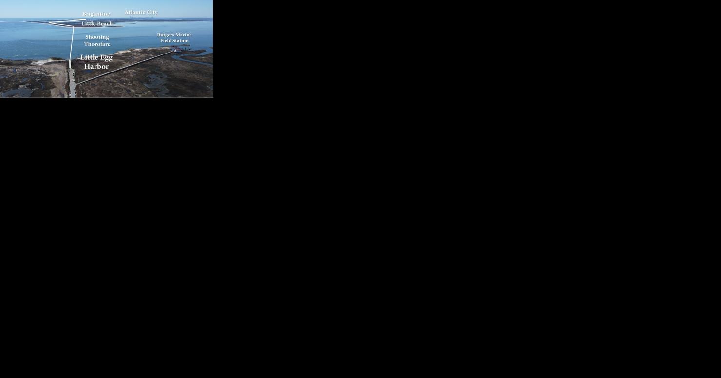 What if the road from Tuckerton to Atlantic City was built? - Vimarsana News