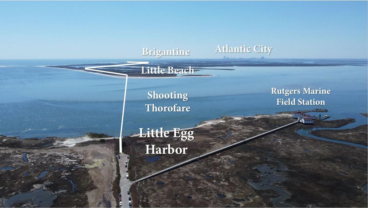 What if the road from Tuckerton to Atlantic City was built?