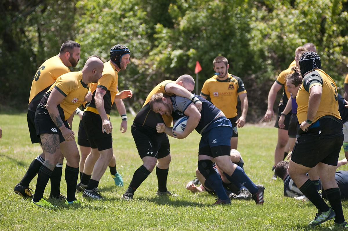 Galloway Rugby