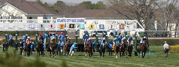 Day at the Races