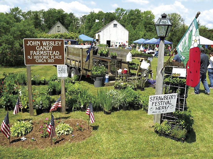 Picking’s good at 27th annual Strawberry Festival in Upper Township