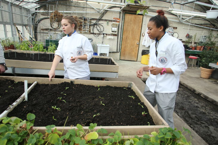 GREEN EDUCATION