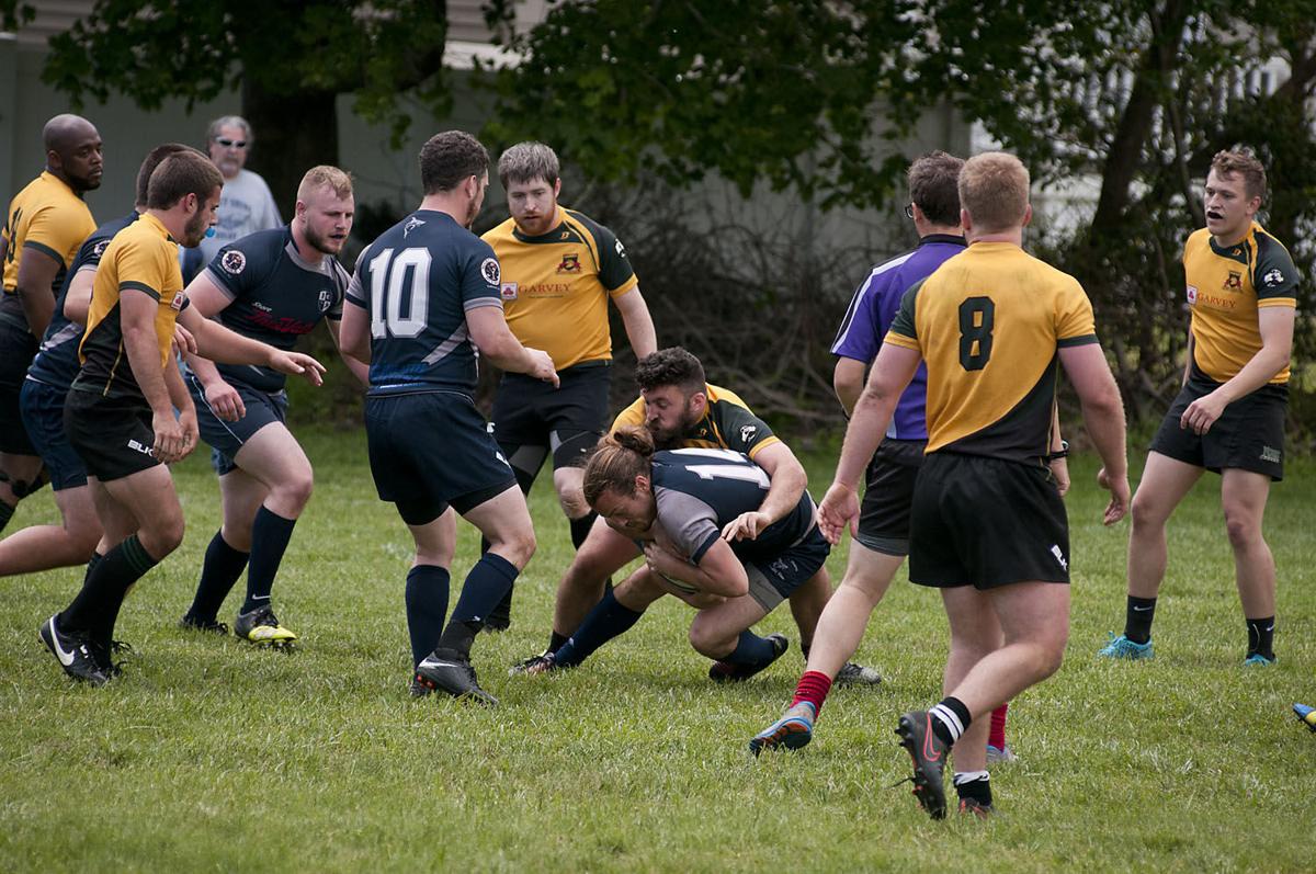 Galloway Rugby