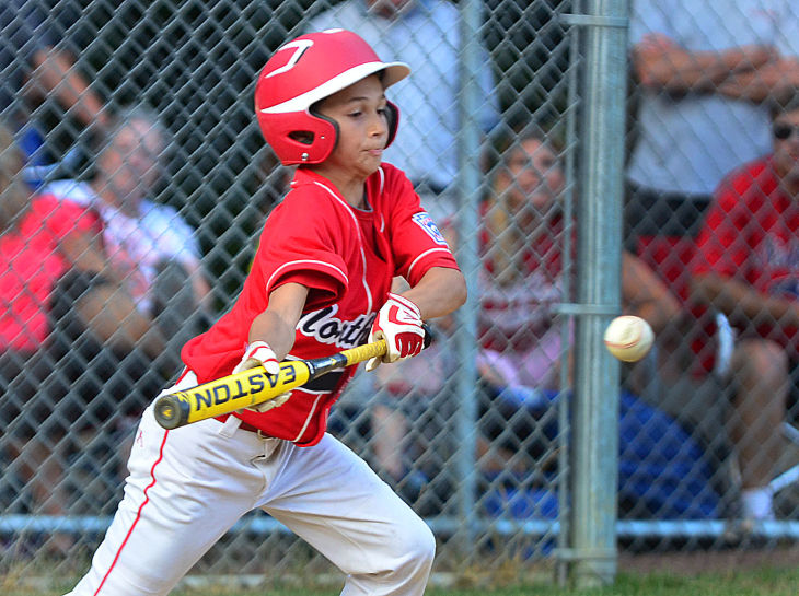 District 16 Little League final