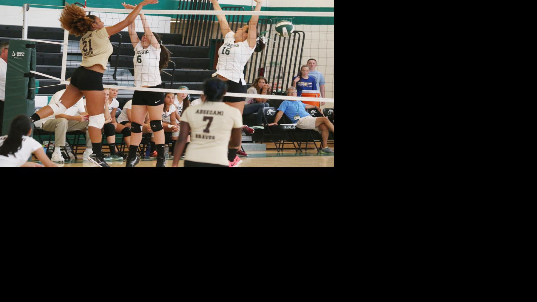 Teambyteam volleyball preview High School