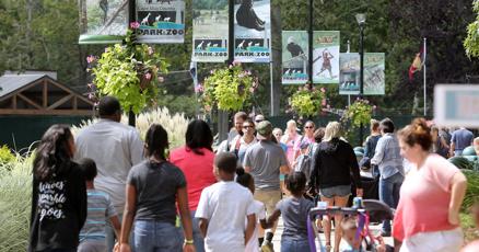Cape May County Zoo cow injures teenager lawsuit states Cape May County Zoo cow injures teenager lawsuit states
