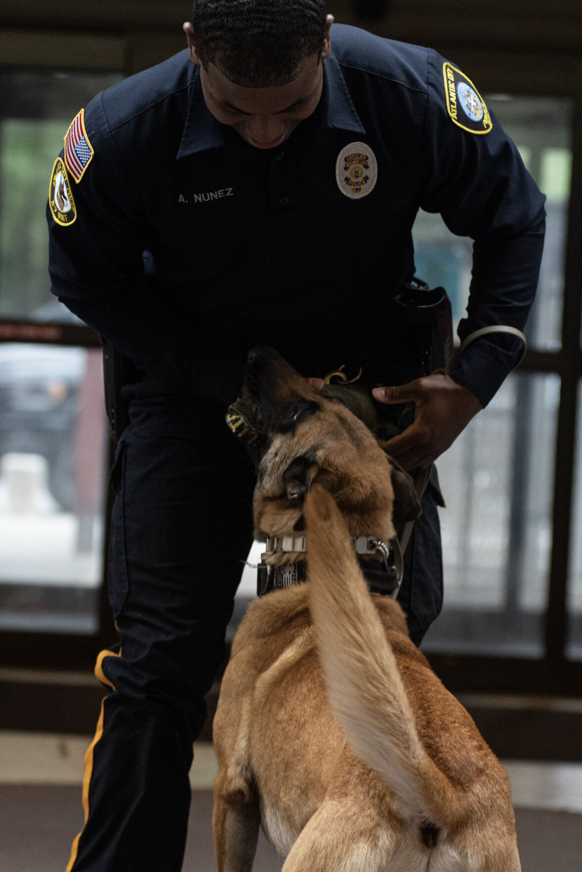 Philadelphia Eagles star Fletcher Cox donates police dog to