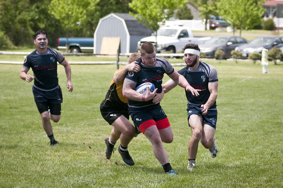 Galloway Rugby