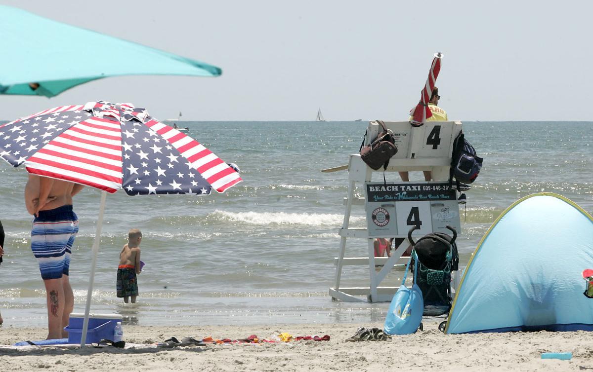 Local Beach Patrols In Search Of Liuards Pro