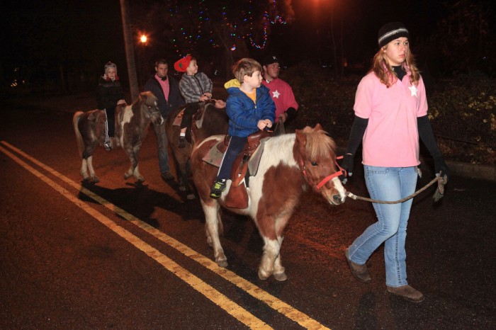 Linwood Tree Lighting
