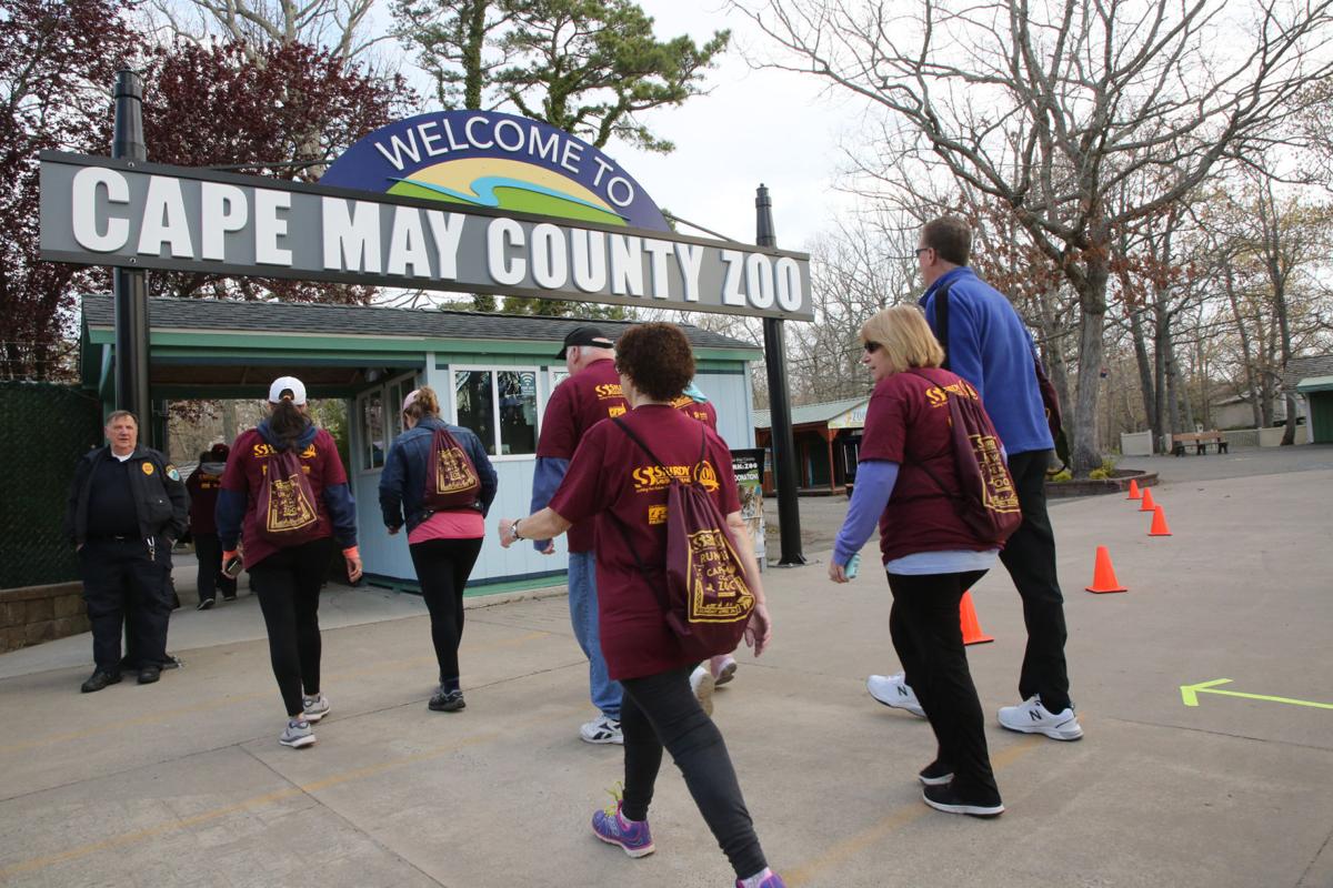 can you bring dogs to cape may zoo