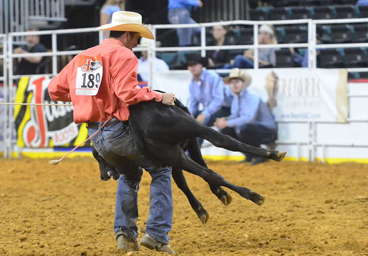 boardwalk rodeo