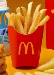 french fries