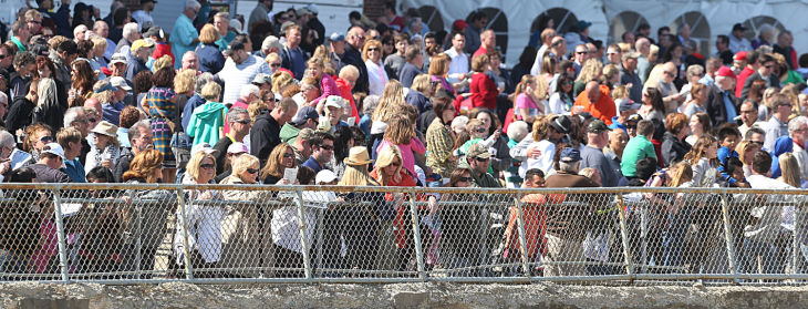 Day at the Races