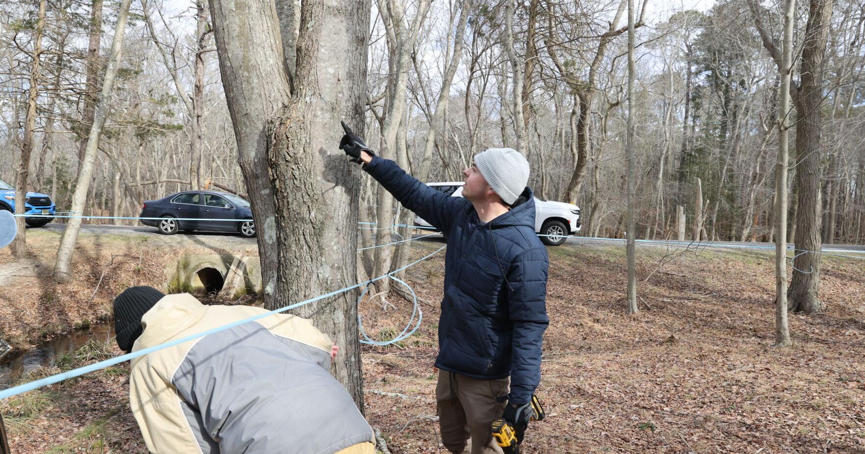 Stockton reschedules maple tapping event due to weather - Vimarsana News