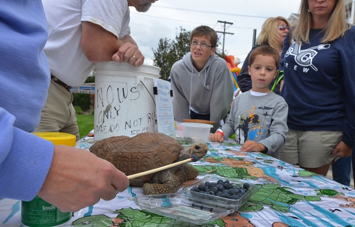 margate funfest by the bay