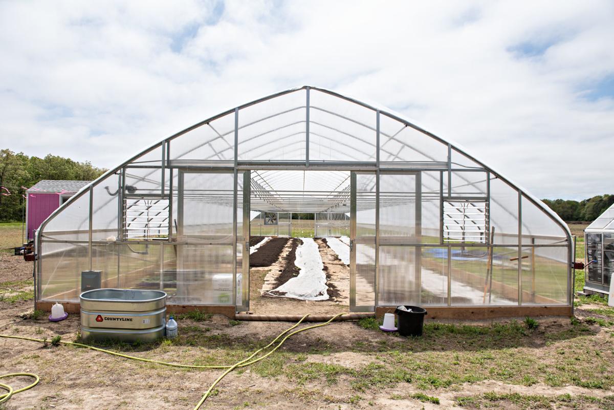 WATCH NOW Produce starts growing again at Reed's Farm in Egg Harbor