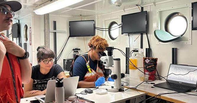 Students make waves on Florida marine science cruise