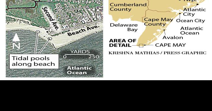 Cape May Beach Map The Cove Beach At Cape May Map 9-2016 | | Pressofatlanticcity.com